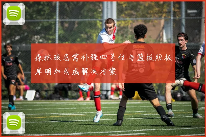 森林狼急需补强四号位与篮板短板库明加或成解决方案
