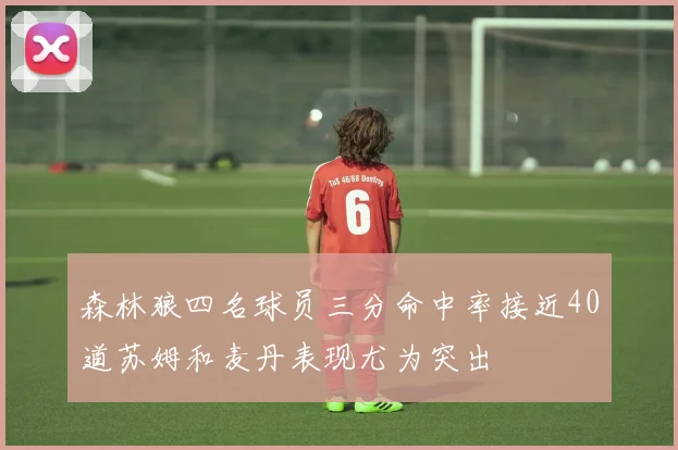 森林狼四名球员三分命中率接近40道苏姆和麦丹表现尤为突出