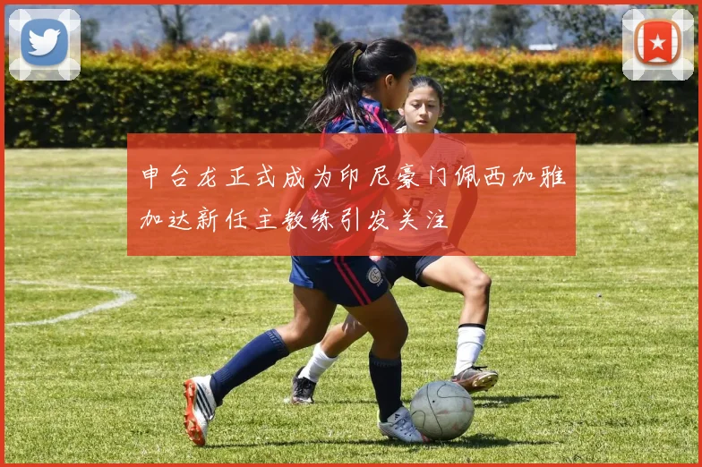 申台龙正式成为印尼豪门佩西加雅加达新任主教练引发关注