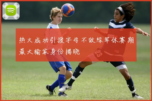 热火成功引援字母不敌绿军休赛期最大输家身份揭晓